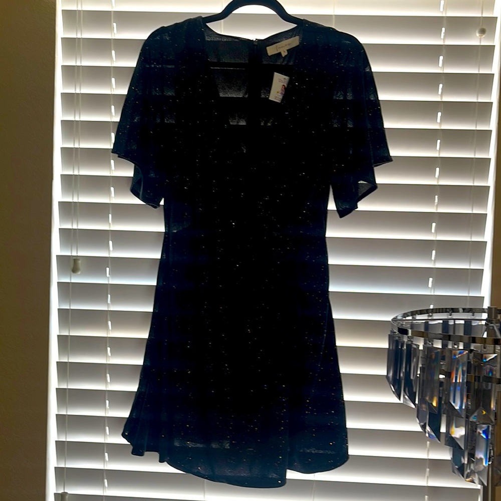 black glitter dresss